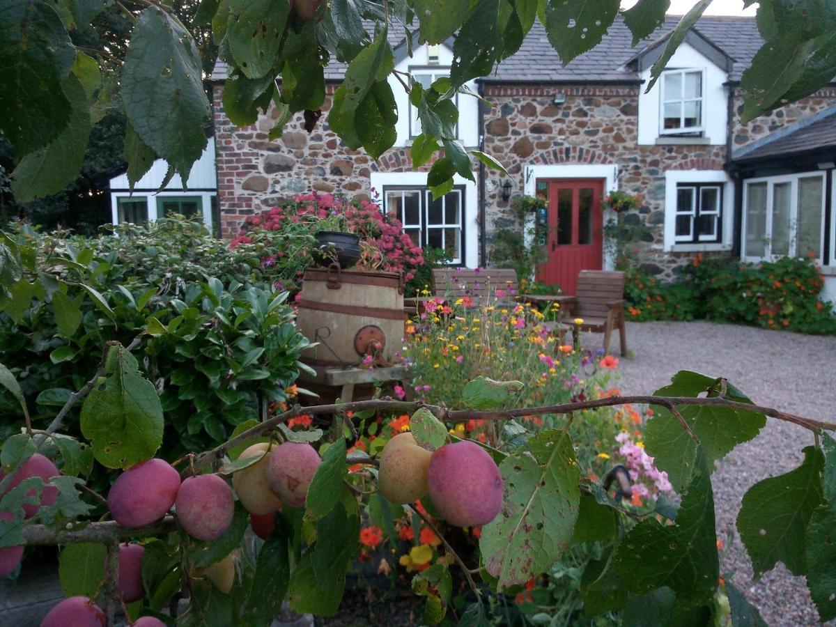 Berwick Hall Cottage Moira  Eksteriør bilde