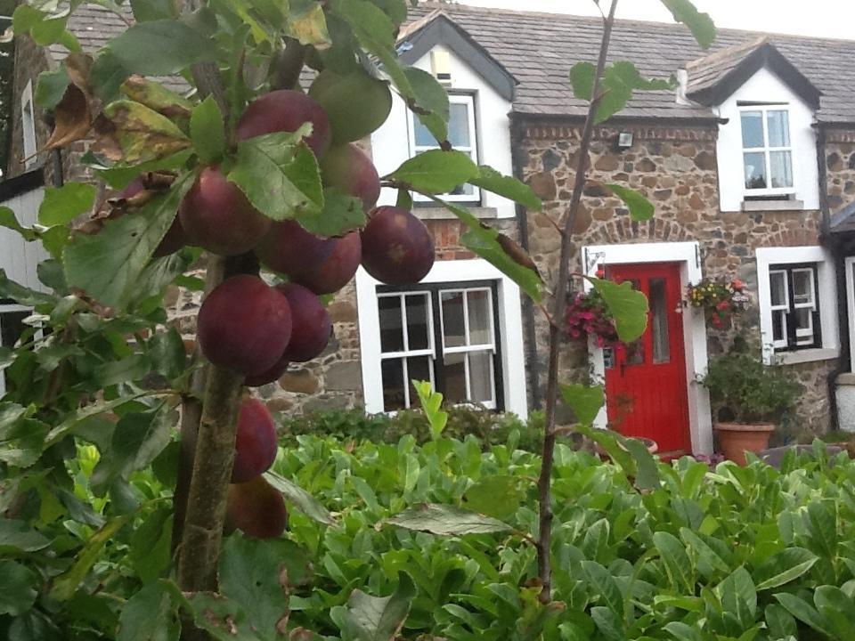 Berwick Hall Cottage Moira  Rom bilde